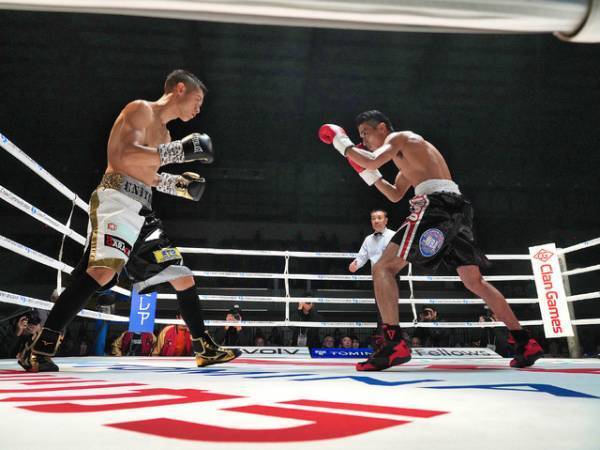 横浜流星、肉体改造で挑む『春に散る』場面写真