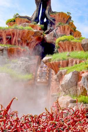 【ディズニー】TDLの人気アトラクション「スプラッシュ・マウンテン“びしょ濡れMAX”」再び