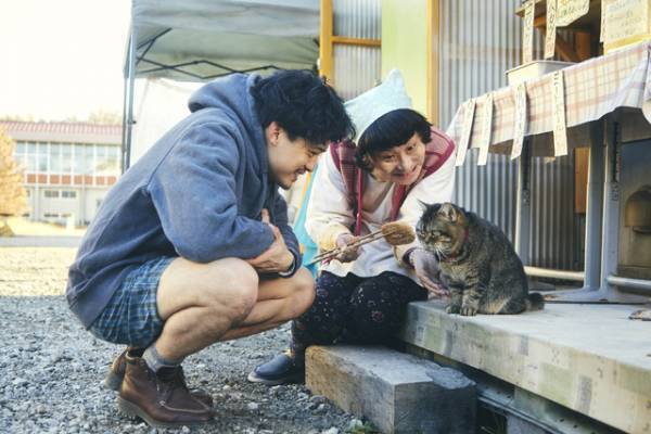 池松壮亮演じる主人公の相棒猫・トラ役は皆川猿時　宮藤官九郎「季節のない街」