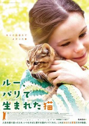 少女の目を通して愛猫との絆を描く『ルー、パリで生まれた猫』9月公開