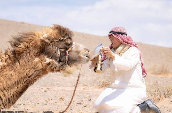 「VIVANT」第3話 堺雅人“乃木”がサーバールームに侵入？ハラハラ展開に「目が離せない」「最高に面白い」の声上がる