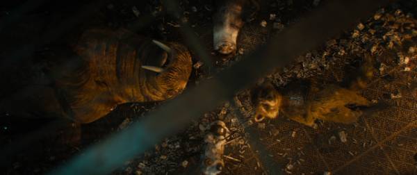 ジェームズ・ガン監督、ロケットへの思いを語る『ガーディアンズ・オブ・ギャラクシー：VOLUME 3』特別映像