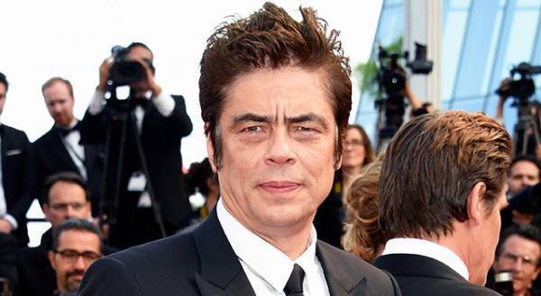 Netflix『レプタイル －蜥蜴－』予告編 ベニチオ・デル・トロ＆ジャスティン・ティンバーレイクらが出演