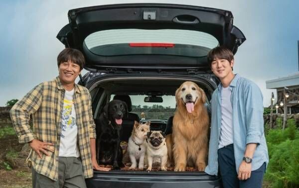 ユ・ヨンソク＆チャ・テヒョン共演、愛犬の里親探しに『マイ・ハート・パピー』1月公開