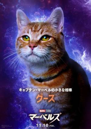 『マーベルズ』グースら“猫”たちの“ニャーベルズ”にパク・ソジュンも！キャラポス解禁