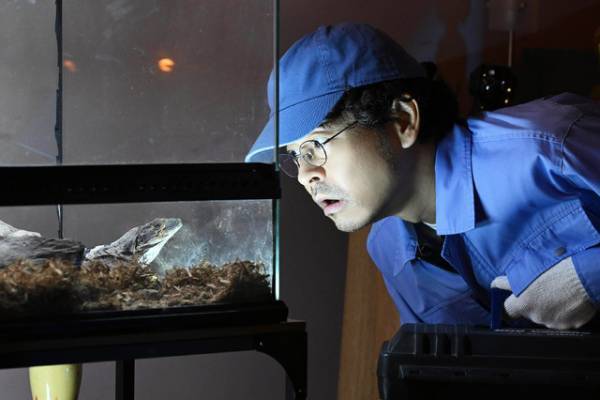 板谷由夏＆山中崇ら“新堂家”、早乙女家に潜入する…「ブラックファミリア」第5話