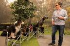映画『スラムドッグス』監督「犬中心の環境を作り上げた」“ドッグ・ファースト”な撮影現場を収めた特別映像