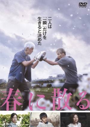 佐藤浩市×横浜流星W主演『春に散る』Blu-ray＆DVDが2024年3月発売、12月独占配信