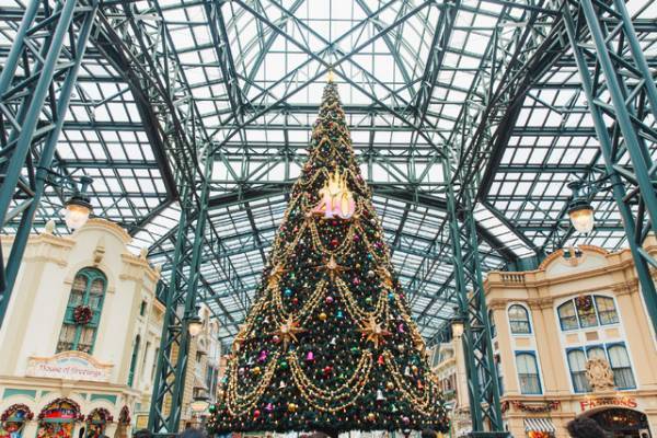 【ディズニー】圧倒的にロマンティック！約15メートル、40周年の巨大クリスマスツリーの見逃せない輝き