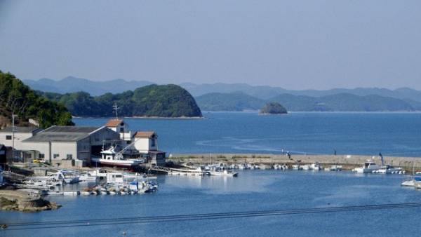 想田和弘監督最新作『五香宮の猫』2024年秋公開 ベルリン映画祭フォーラム部門出品決定