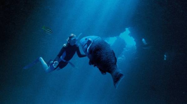 ミア・ワシコウスカ「海への愛を思い出して」『ブルーバック あの海を見ていた』監督＆原作者も語る特別映像