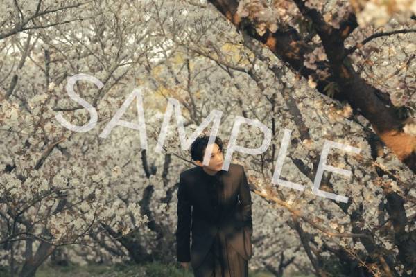 吉沢亮、四季感じる2024年カレンダー予約開始