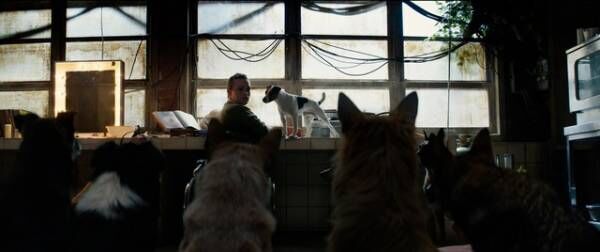 ケイレブ・ランドリー・ジョーンズは「熱心に準備」『DOGMAN ドッグマン』犬たちとの撮影秘話が明らかに