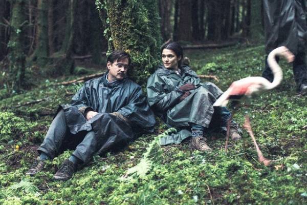 『ロブスター』『聖なる鹿殺し』2月9日から緊急上映　入プレ配布も