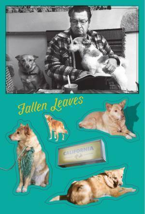 『枯れ葉』ロングランで興収1億円突破　日本上映アキ・カウリスマキ作品最大のヒットに