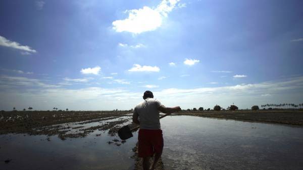 ペルー革命の是非をインタビューやアーカイブ映像でふり返る『革命する大地』4月公開