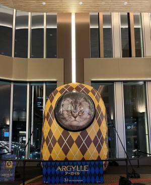 マシュー・ヴォーン監督の愛猫が重要キャラに『ARGYLLE』豪華俳優陣もメロメロ