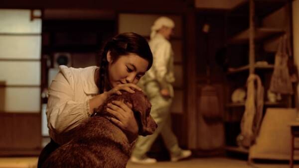一匹の保護犬の感動の実話『石岡タロー』東京公開決定
