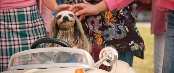 ナマケモノ“アルファ”のキュート？な表情切り取る『キラー・ナマケモノ』場面写真