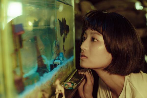 日本初上映含む全7作品上映「台湾映画上映会2024」開催決定