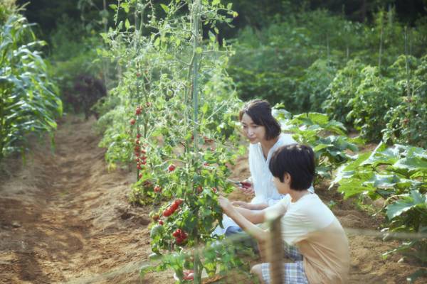 『かくしごと』安藤政信、“自分が演じたい”ほど「杏さんはすごくいい役を勝ち取った」