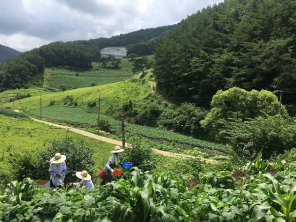 「三食ごはん」ヨム・ジョンア＆ユン・セア＆パク・ソダムの「山村編」リリース決定