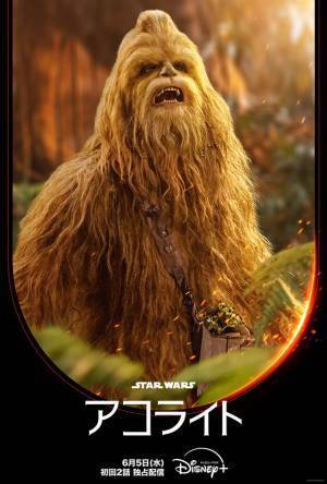 「スター・ウォーズ：アコライト」に実写初、“チューバッカと同じ”ウーキー族のジェダイが初登場