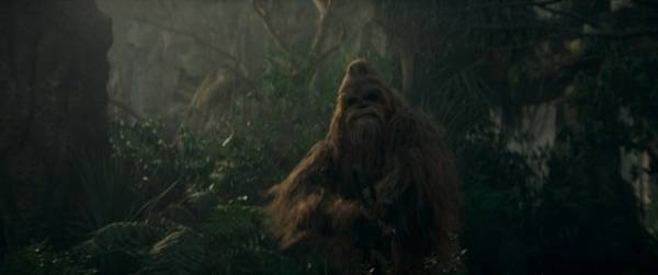 「スター・ウォーズ：アコライト」に実写初、“チューバッカと同じ”ウーキー族のジェダイが初登場