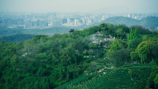 アジア・フィルム・アワード女優賞に輝く『西湖畔に生きる』予告編