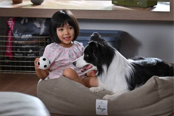 松村北斗“楠見”のノールック西園寺作戦に「実践方法が真っ直ぐすぎる」などの声…「西園寺さんは家事をしない」8話