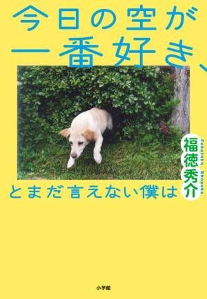 萩原利久×河合優実が初共演『今日の空が一番好き、とまだ言えない僕は』2025年4月公開