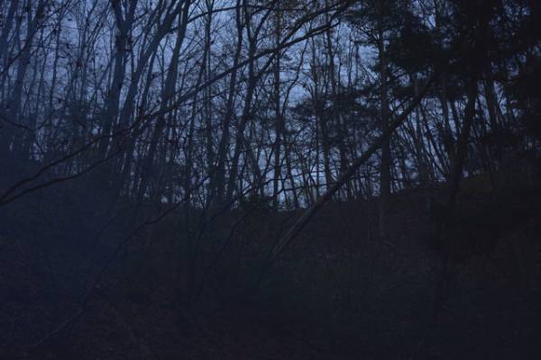 『ミッシング・チャイルド・ビデオテープ』監督が明かす、“自然の脅威” 感じるロケ地のこだわり