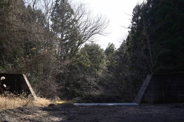 『ミッシング・チャイルド・ビデオテープ』監督が明かす、“自然の脅威” 感じるロケ地のこだわり