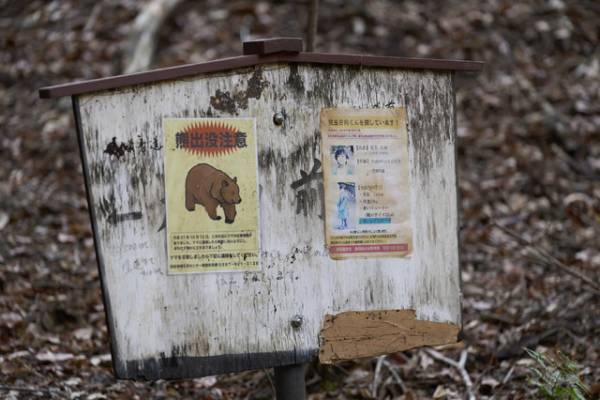 『ミッシング・チャイルド・ビデオテープ』監督が明かす、“自然の脅威” 感じるロケ地のこだわり