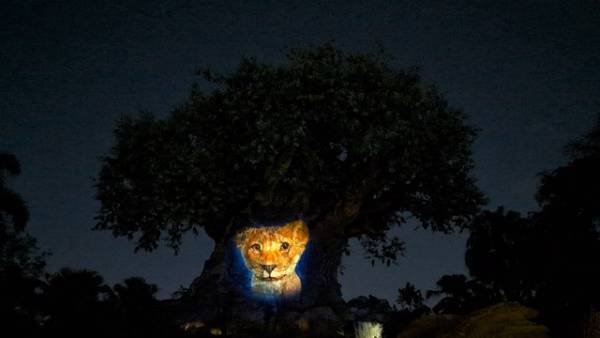 【海外ディズニー】アニマルキングダムのナイトショーが『ライオン・キング：ムファサ』バージョンに！フロリダ WDW
