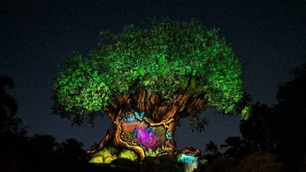 【海外ディズニー】アニマルキングダムのナイトショーが『ライオン・キング：ムファサ』バージョンに！フロリダ WDW