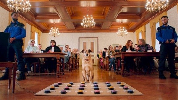 ボタンを使って“被告犬”が証言？『犬の裁判』本編映像