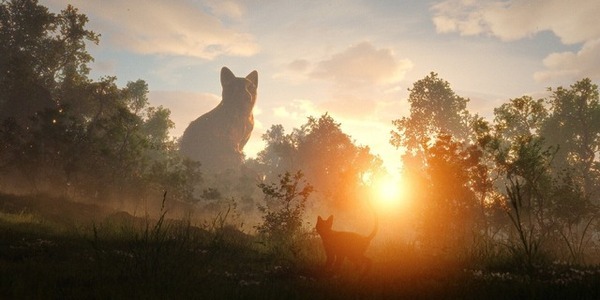 アカデミー賞受賞作『Flow』7月16日よりPrime Videoで配信開始