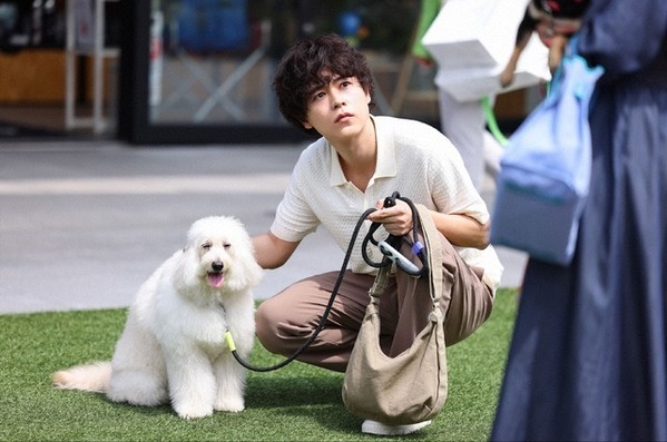 犬たちの“名演技”に絶賛集まる…「柔らかいキャラ」の成田凌も話題に「初恋DOGs」第1話