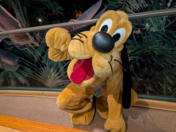 【海外ディズニー】ミッキーがごあいさつ！エプコットの人気レストランを体験　フロリダ WDW