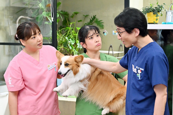 萩原利久が主演！「初恋DOGs」サイドストーリー隔週配信