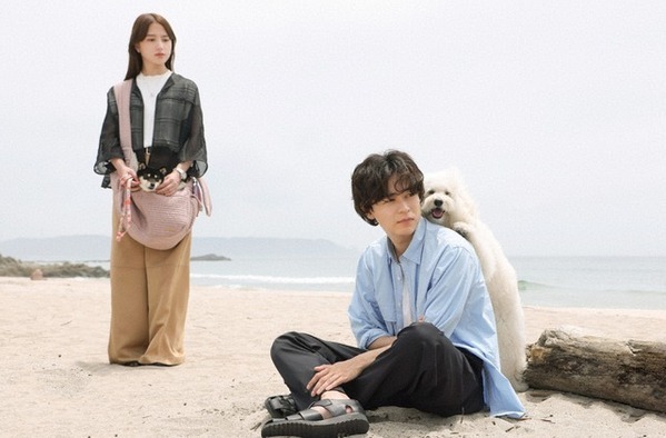 「初恋DOGs」3話、「ある意味王道」…成田凌“快”とナ・イヌ“ソハ”に訪れる“新展開”に視聴者沸く
