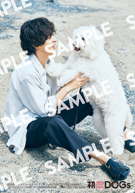 成田凌＆ナ・イヌにフォーカス「初恋DOGs」“快とソハ”の公式フォトブック発売決定