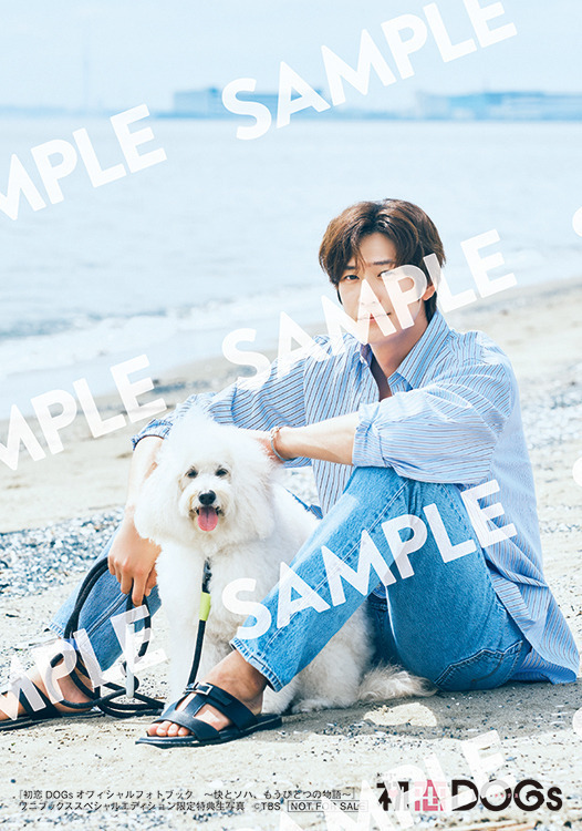成田凌＆ナ・イヌにフォーカス「初恋DOGs」“快とソハ”の公式フォトブック発売決定