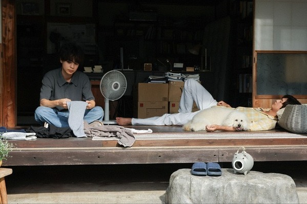 「思わずテレビの前で拍手」ナ・イヌ“ソハ”の直球告白に視聴者感動「初恋DOGs」6話