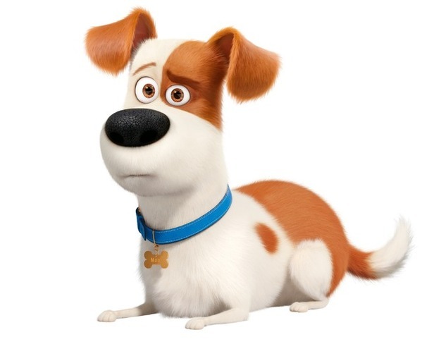 ペットたちの大冒険再び『ペット２』金ローにて9月5日放送決定