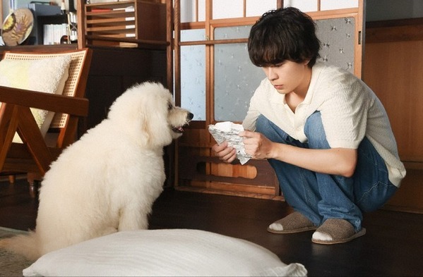 「日本語で手紙は泣いちゃう」…ナ・イヌ“ソハ”の手紙に感動の声続々「初恋DOGs」8話