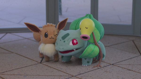 “癒され”の声続々！新エピソードのポケモンたち「ポケモンコンシェルジュ」場面写真