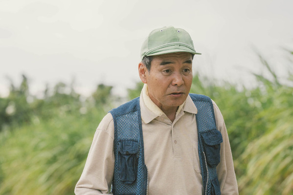 伊藤沙莉主演『風のマジム』広大なサトウキビ畑で迷子に!? 本編映像到着