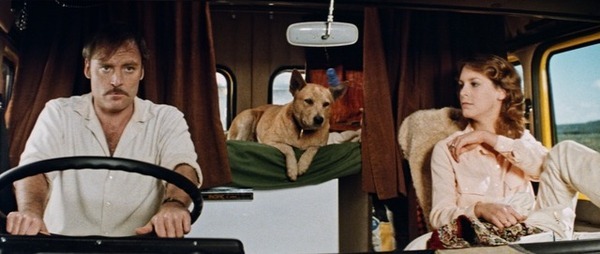 豚を運ぶトラック運転手に忍び寄る殺人鬼の気配…『ロードゲーム』日本版ビジュアル＆本予告